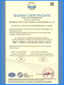  ISO9001 Certificate 