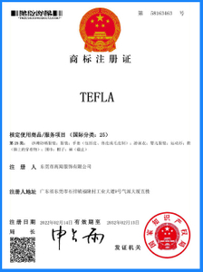  Trademark Registration Certificate(TEFLA) 