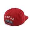 New Fashion New Embroidery Logo 95% Cotton 5% Spandex Snapback Hat Red Color Snapback Hat