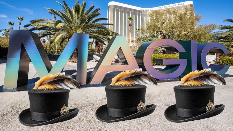 Do You Know What Is The Feather Sun Hat ?