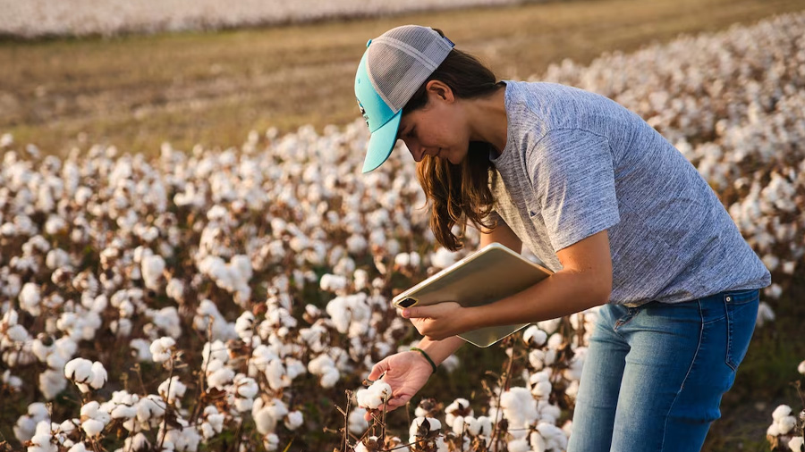 What “Sustainable Cotton” Means for Hats